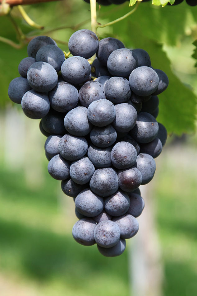 Image 02 4
